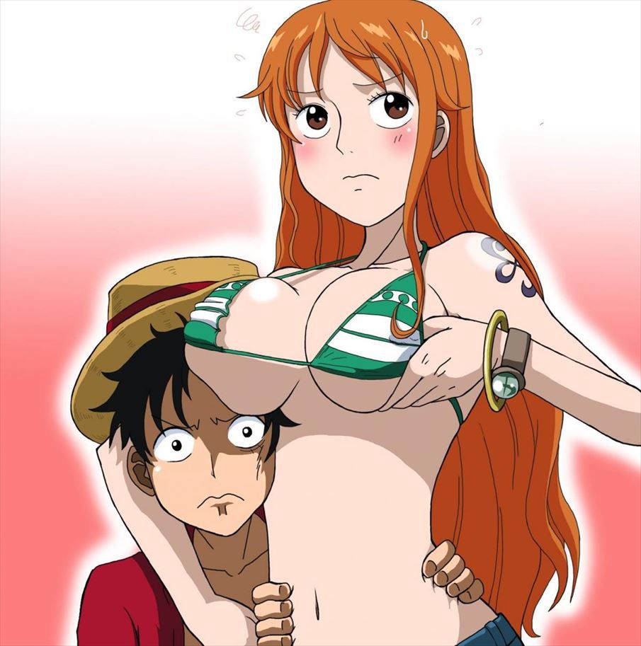 Rainbow erotic image of one piece 5