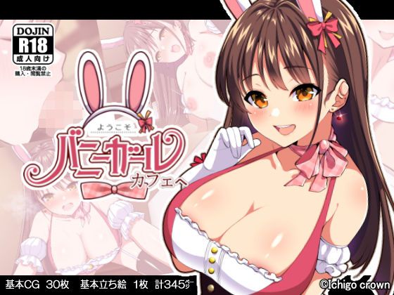 Second: Reverse bunny girl erotic image summary! Part3 41