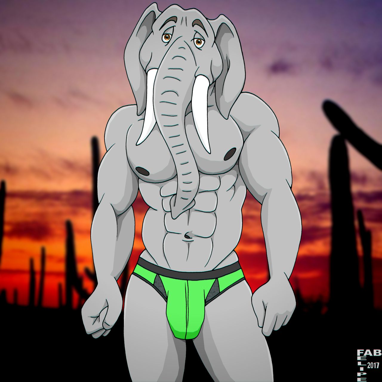 Male Elephant 男性の象 12