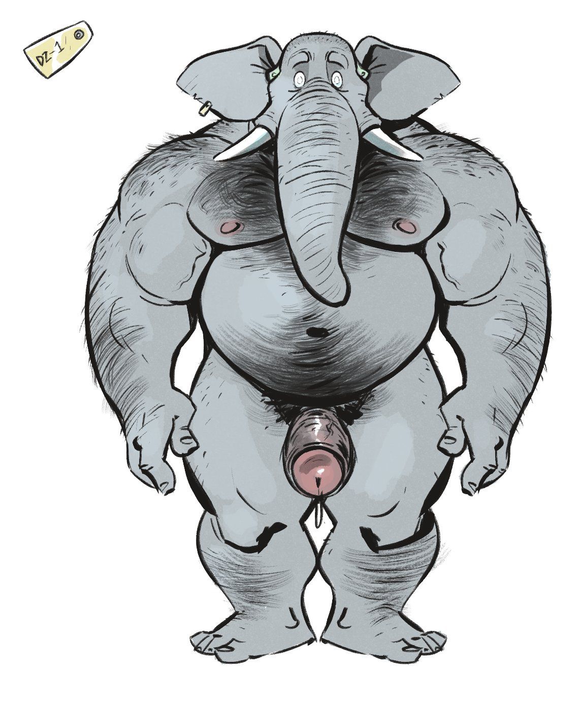 Male Elephant 男性の象 79