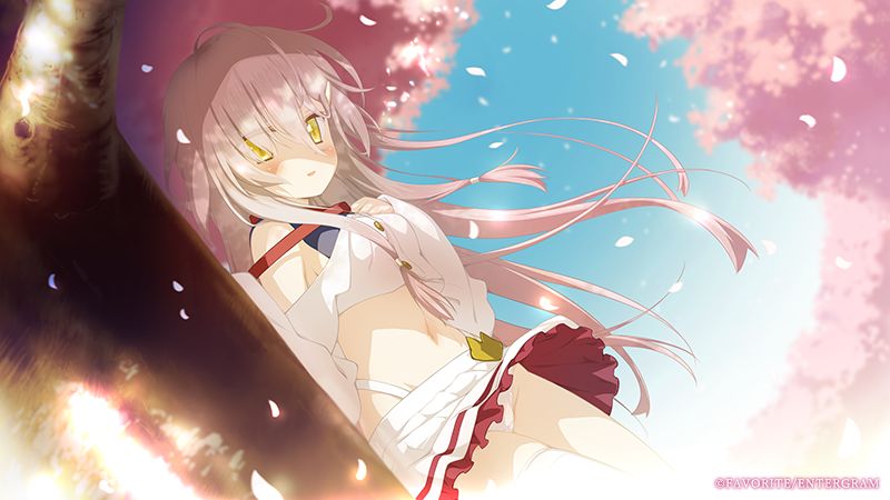 PS4 / Switch version "Sakura, Moyu." erotic store bonus illustration that seems to show girls' ecchi 6