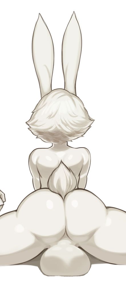 Male Rabbit Butts 19
