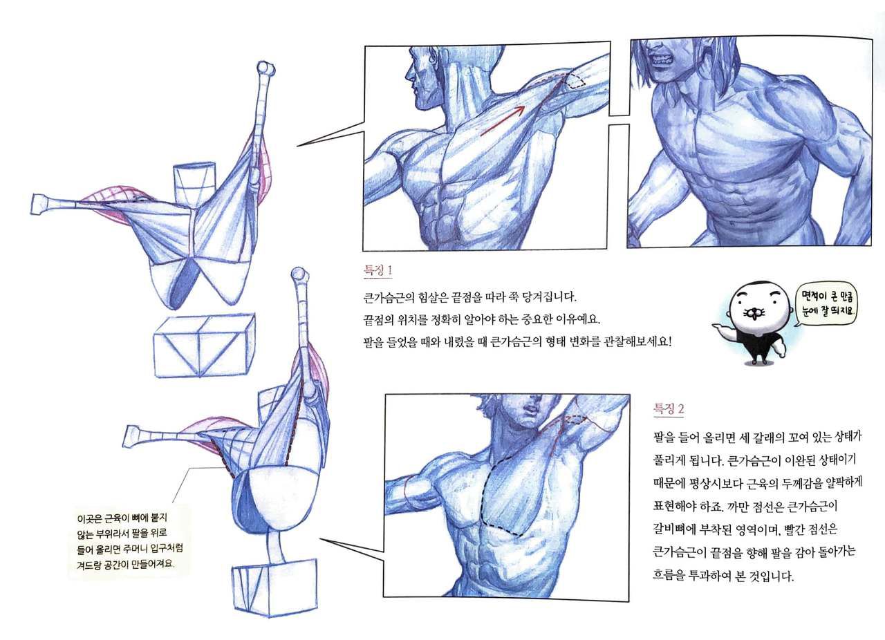 RockHe Kim's Anatomy Drawing Class 100