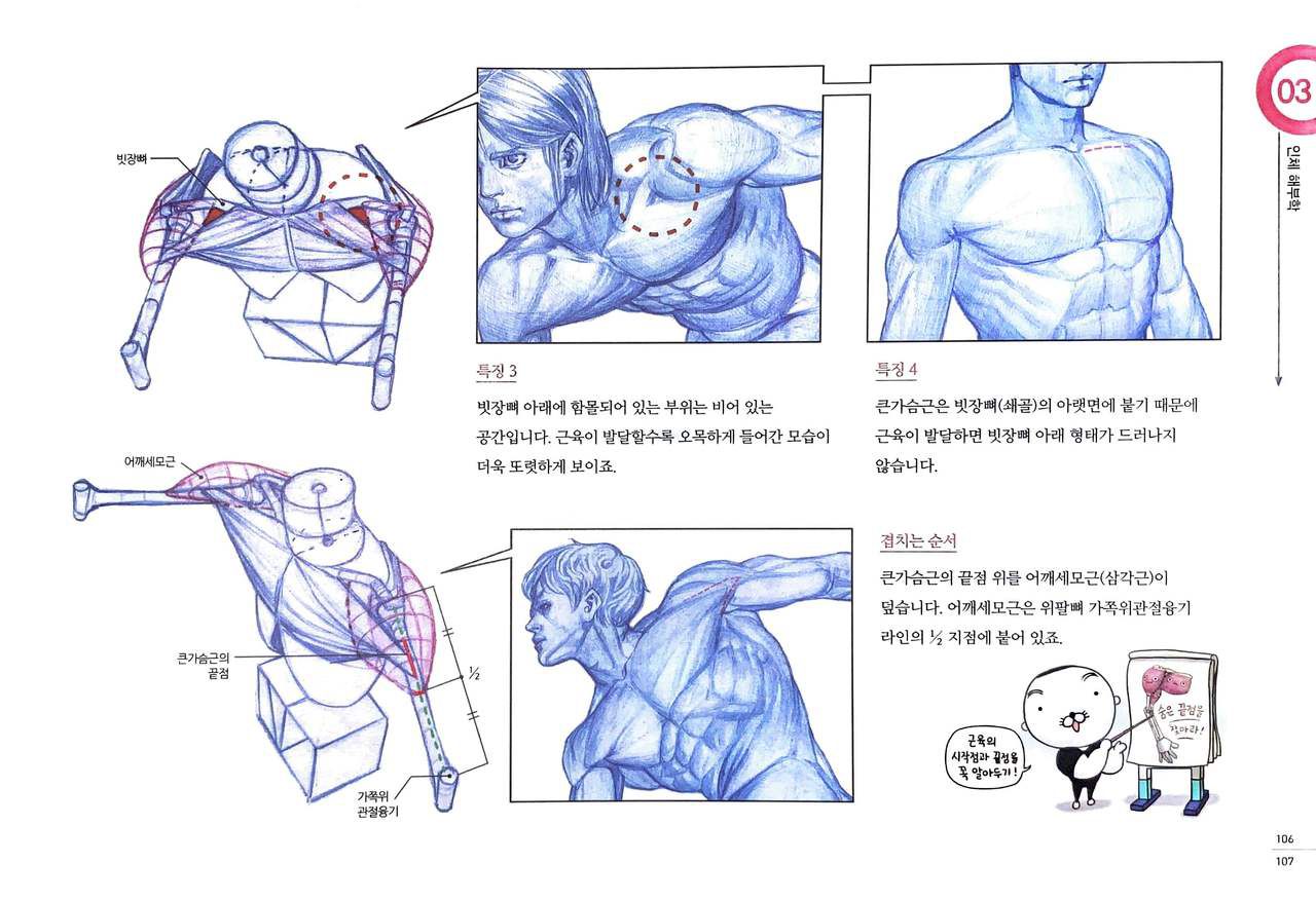 RockHe Kim's Anatomy Drawing Class 101