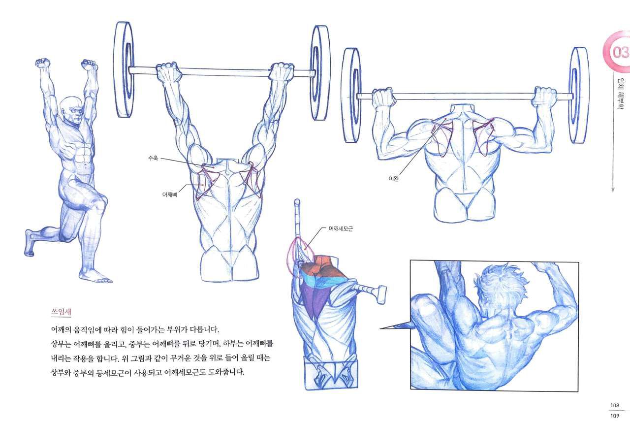 RockHe Kim's Anatomy Drawing Class 103