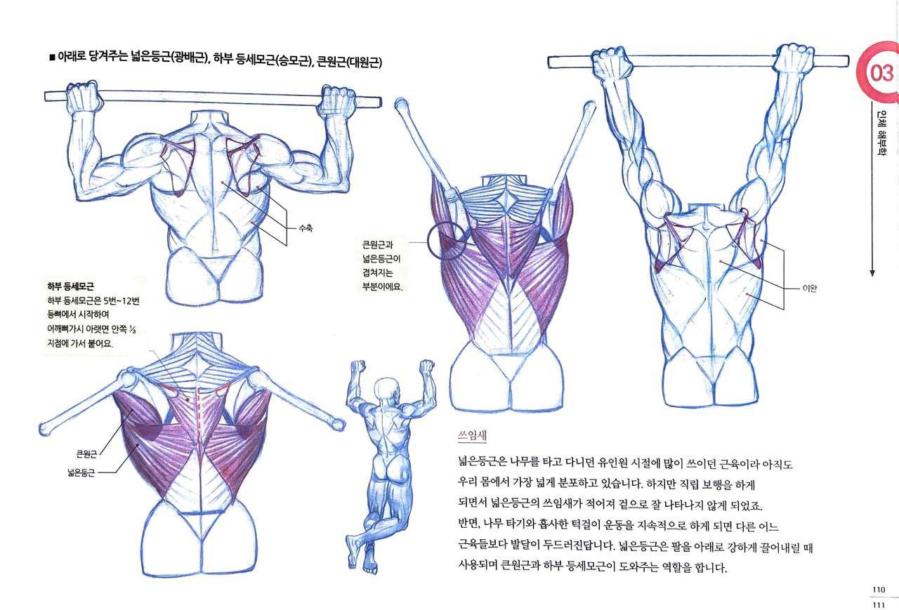 RockHe Kim's Anatomy Drawing Class 105