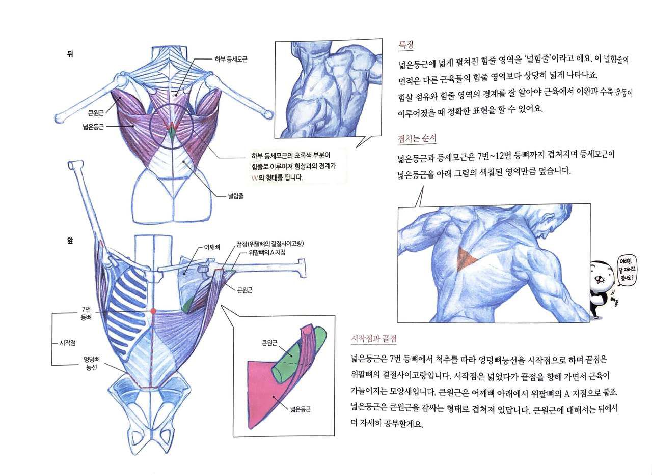 RockHe Kim's Anatomy Drawing Class 106