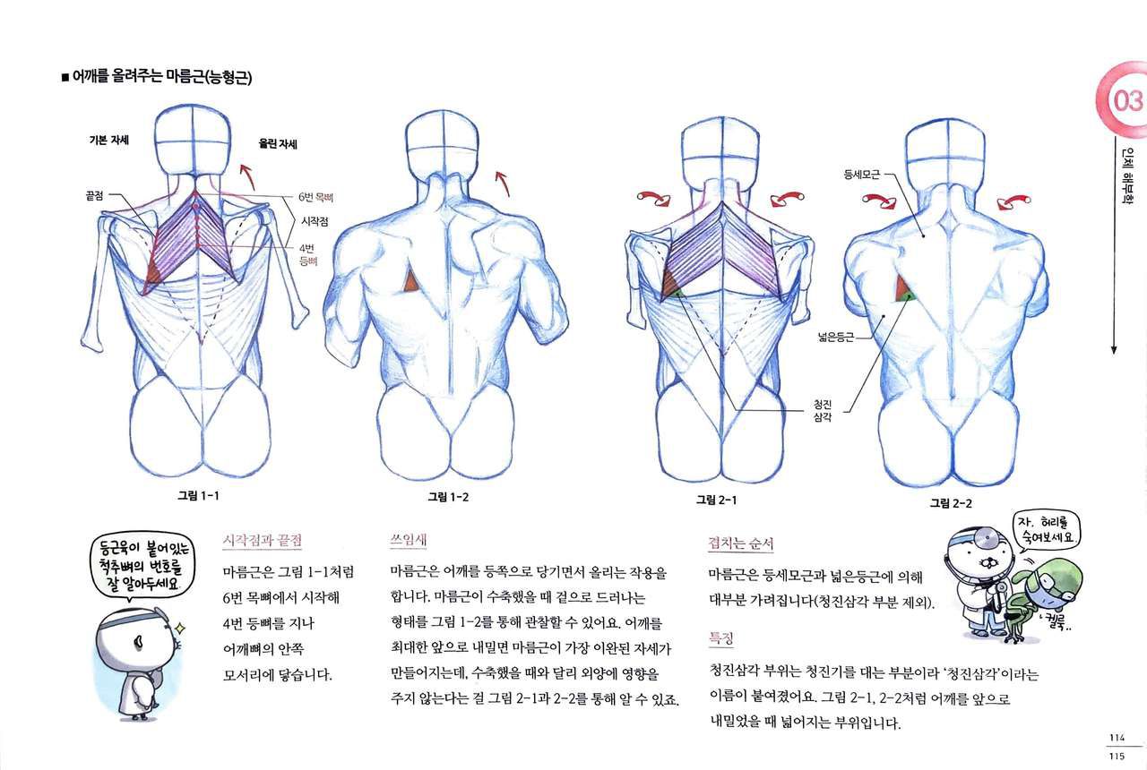 RockHe Kim's Anatomy Drawing Class 109