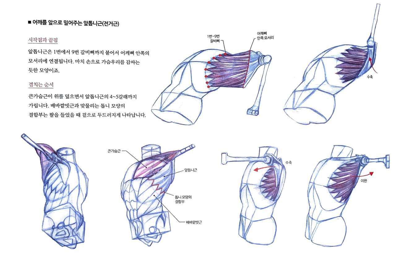 RockHe Kim's Anatomy Drawing Class 112