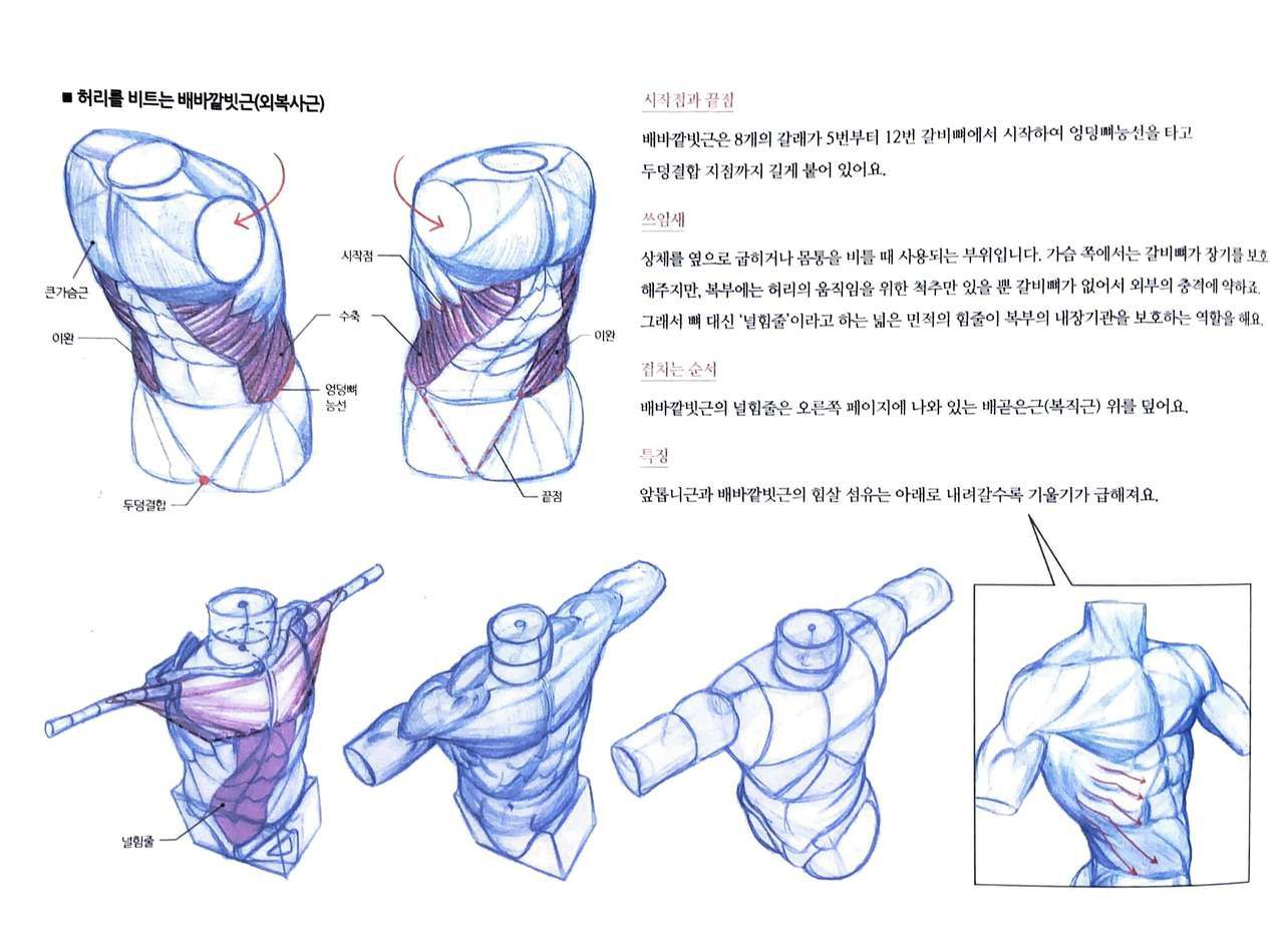 RockHe Kim's Anatomy Drawing Class 114