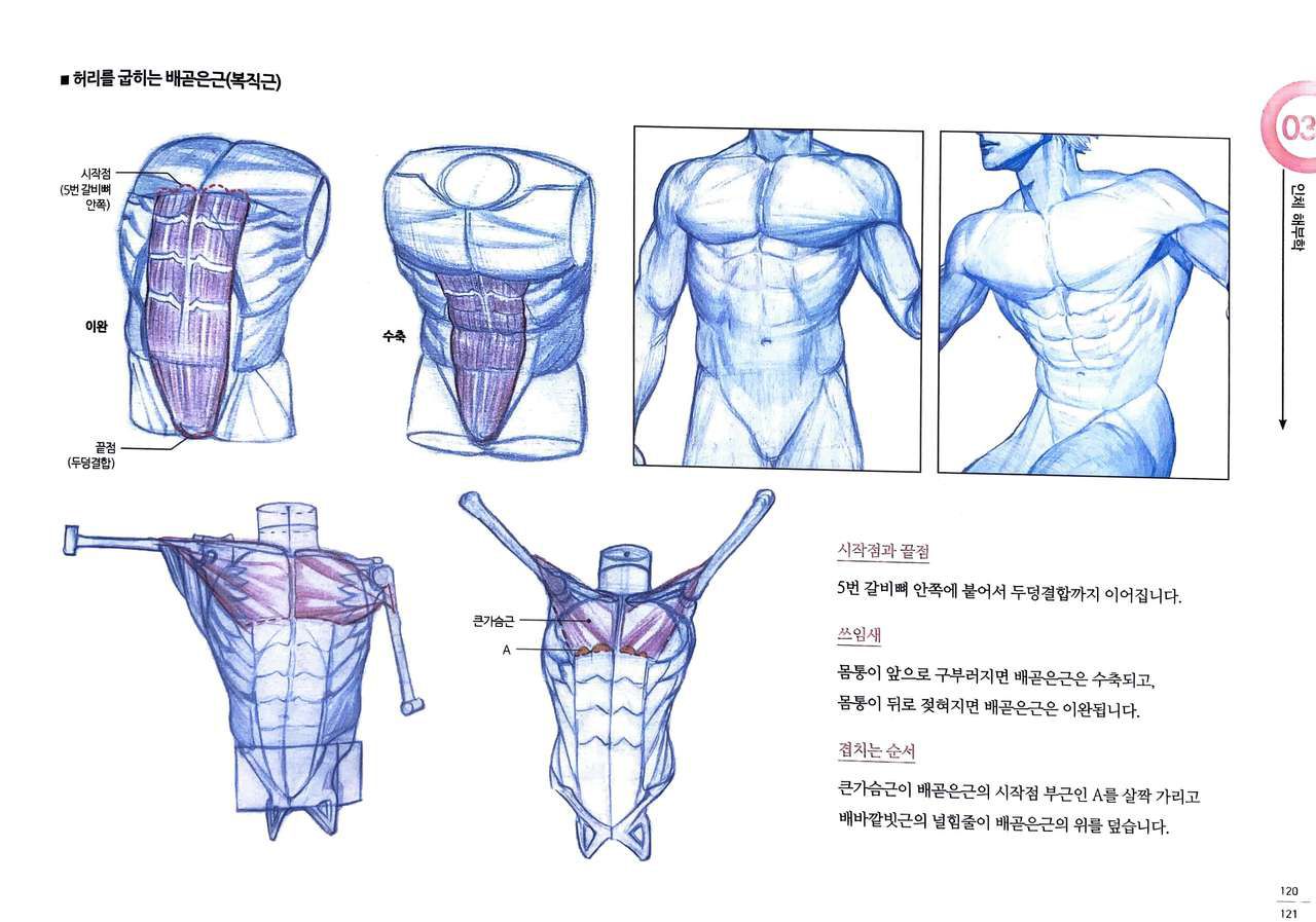 RockHe Kim's Anatomy Drawing Class 115