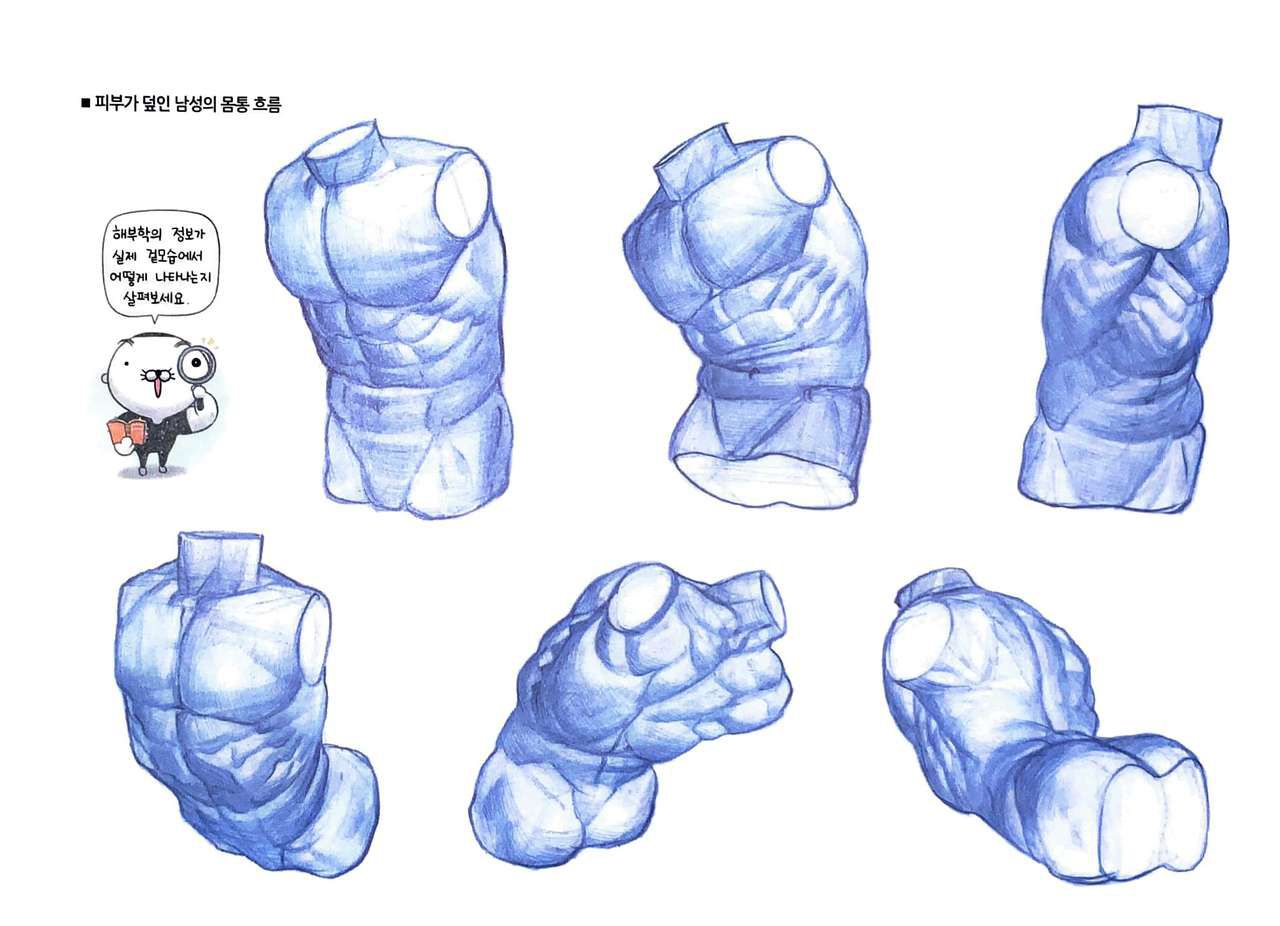 RockHe Kim's Anatomy Drawing Class 116