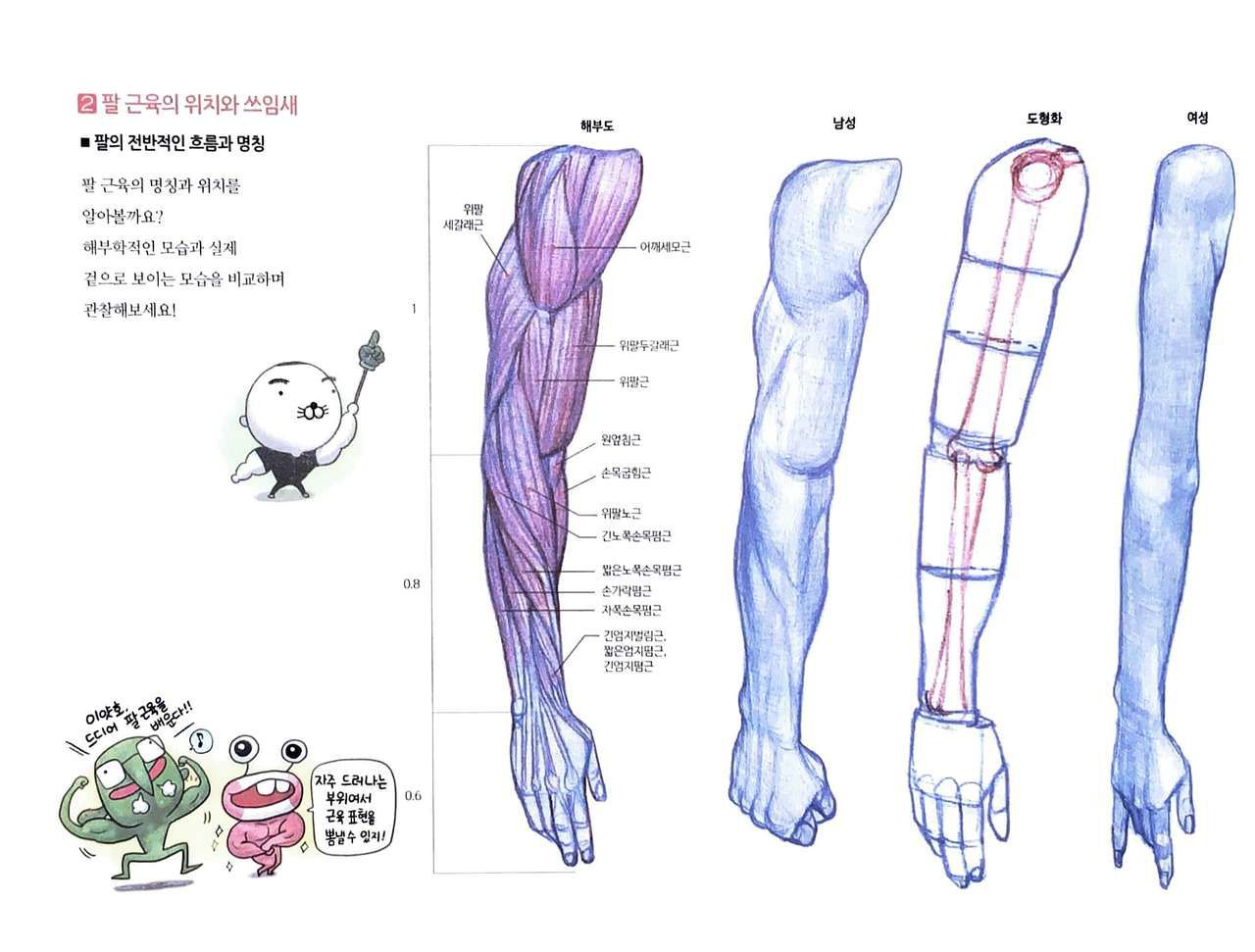 RockHe Kim's Anatomy Drawing Class 122