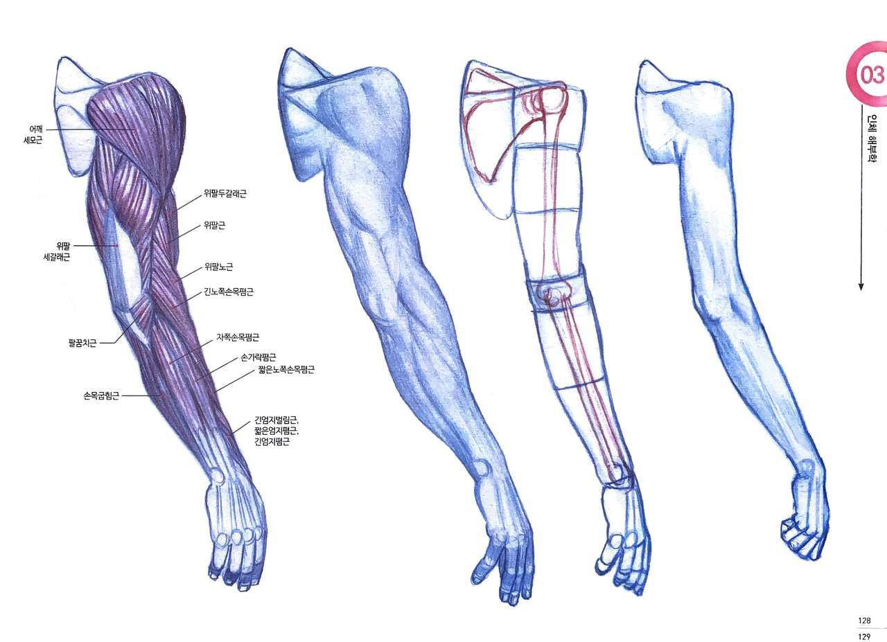 RockHe Kim's Anatomy Drawing Class 123