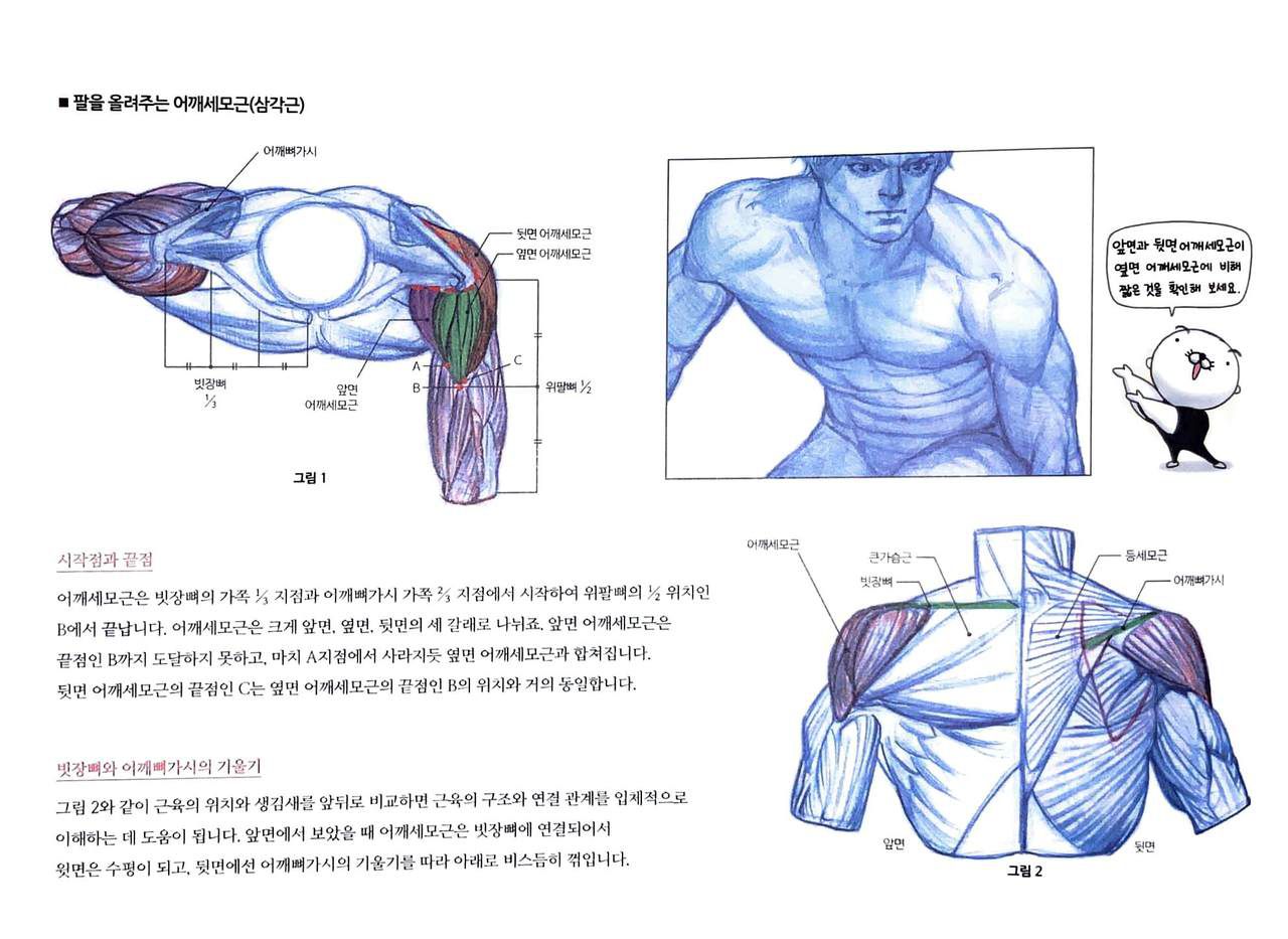 RockHe Kim's Anatomy Drawing Class 124