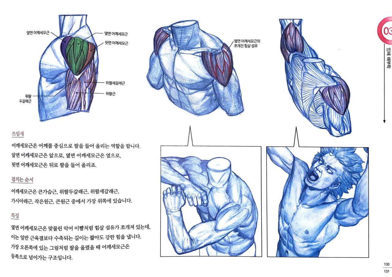 RockHe Kim's Anatomy Drawing Class 125