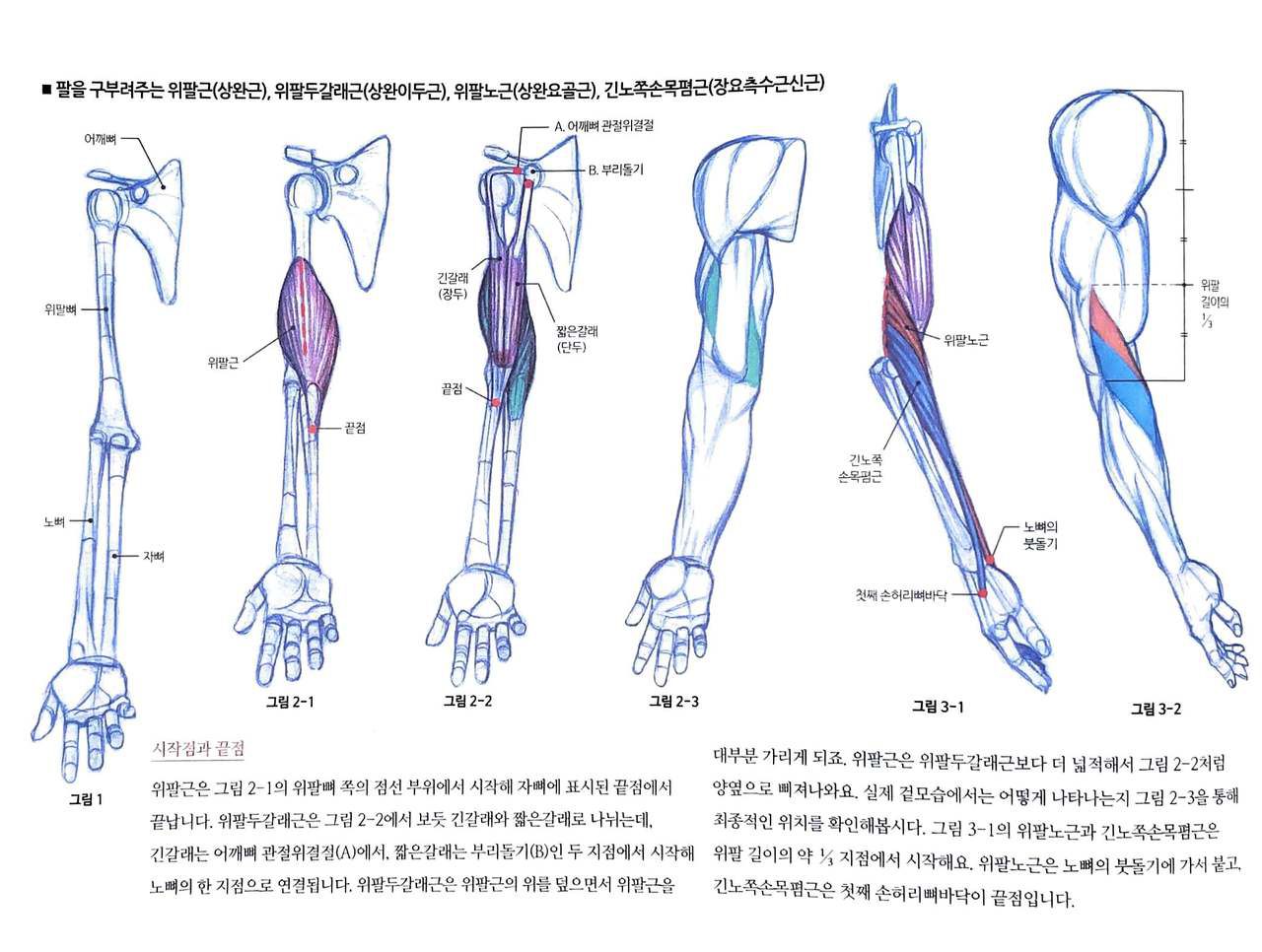 RockHe Kim's Anatomy Drawing Class 126