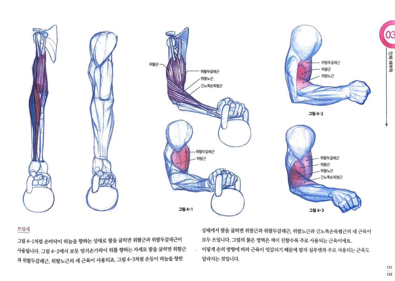 RockHe Kim's Anatomy Drawing Class 127