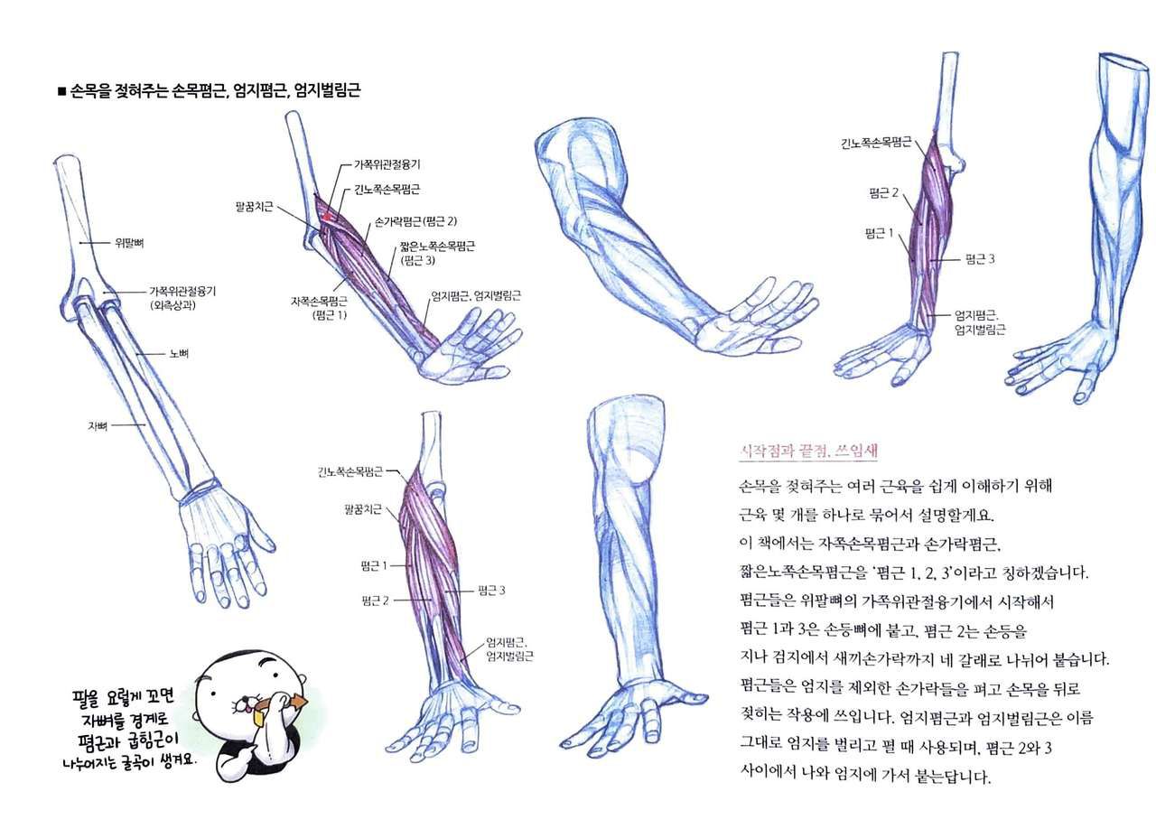 RockHe Kim's Anatomy Drawing Class 128