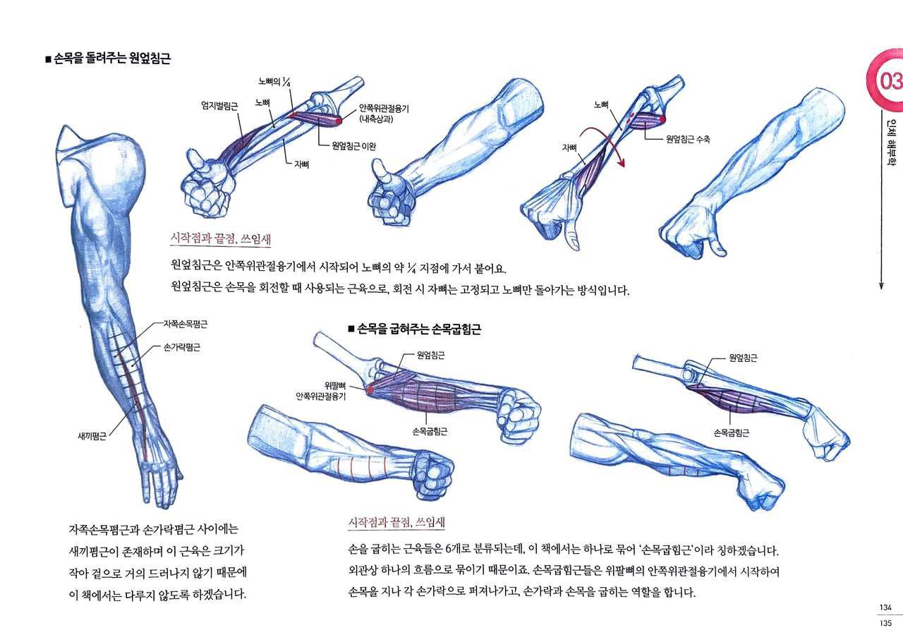 RockHe Kim's Anatomy Drawing Class 129