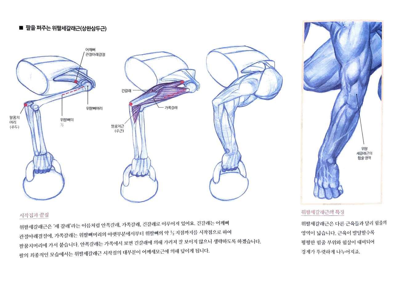 RockHe Kim's Anatomy Drawing Class 130