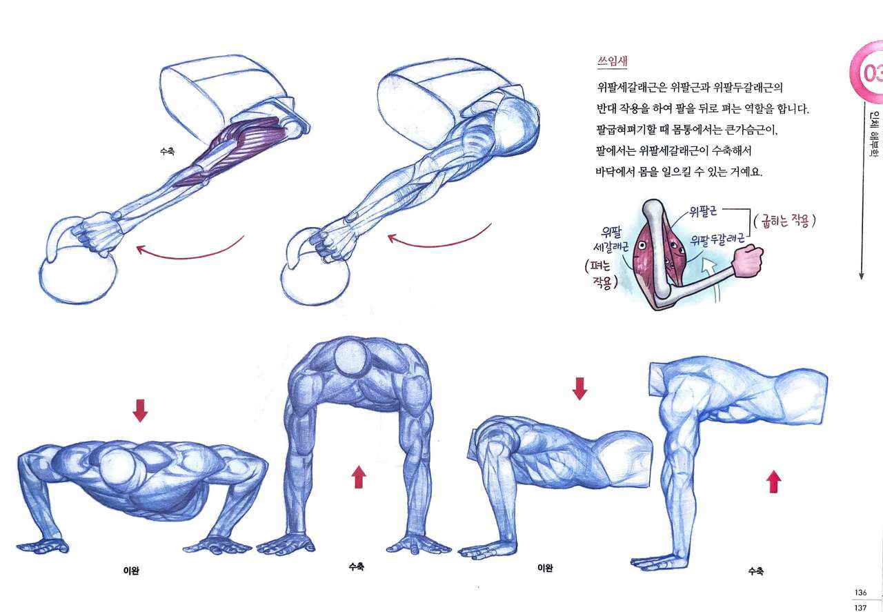 RockHe Kim's Anatomy Drawing Class 131