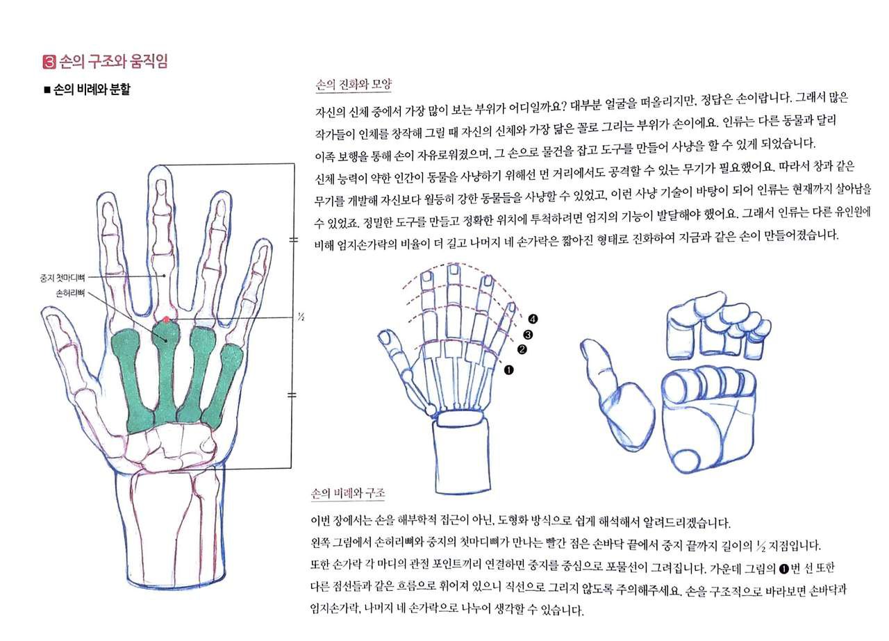 RockHe Kim's Anatomy Drawing Class 132