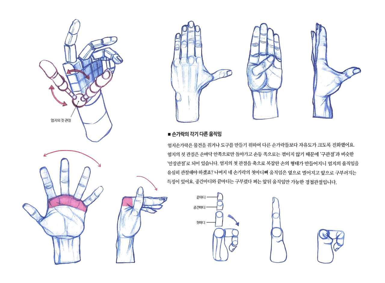 RockHe Kim's Anatomy Drawing Class 134