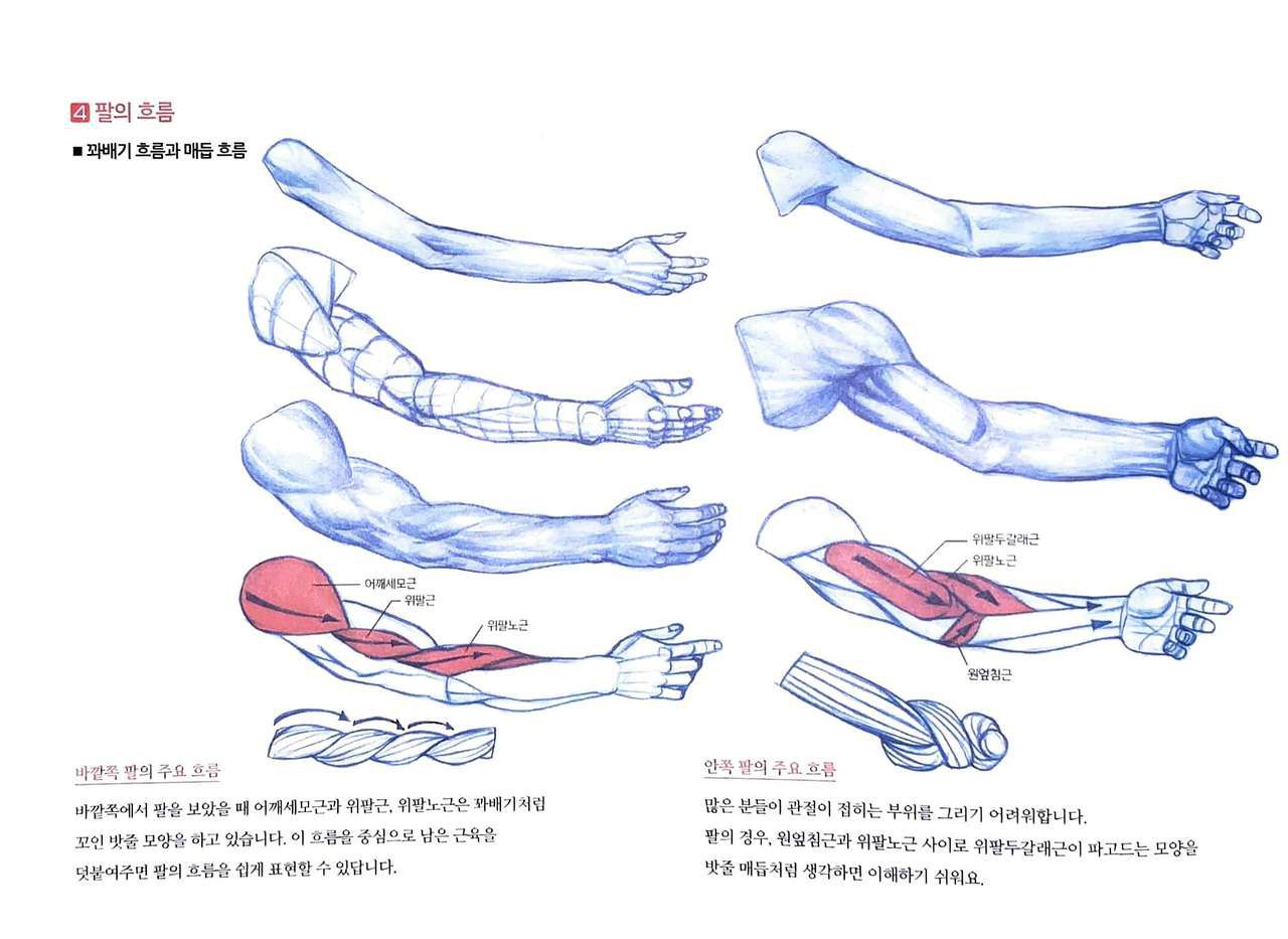 RockHe Kim's Anatomy Drawing Class 140