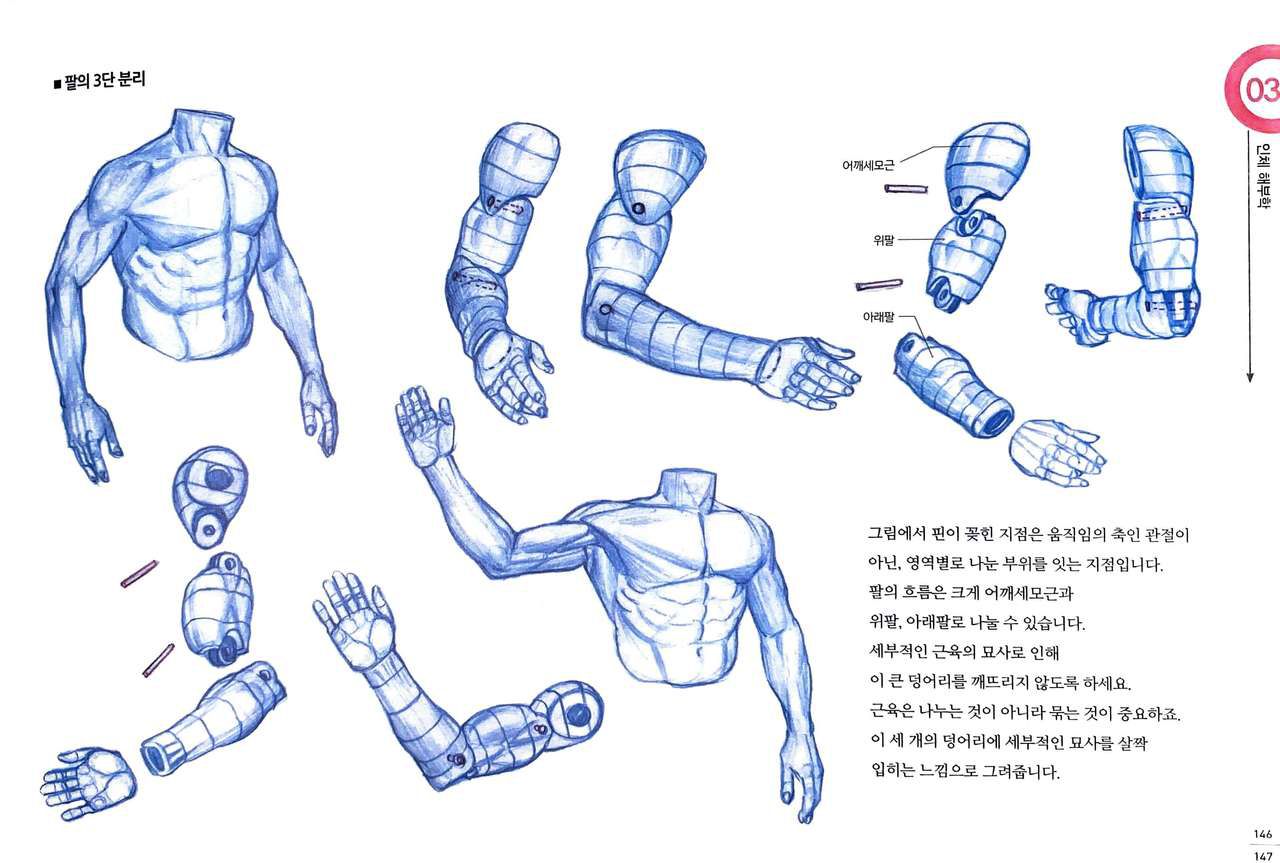 RockHe Kim's Anatomy Drawing Class 141