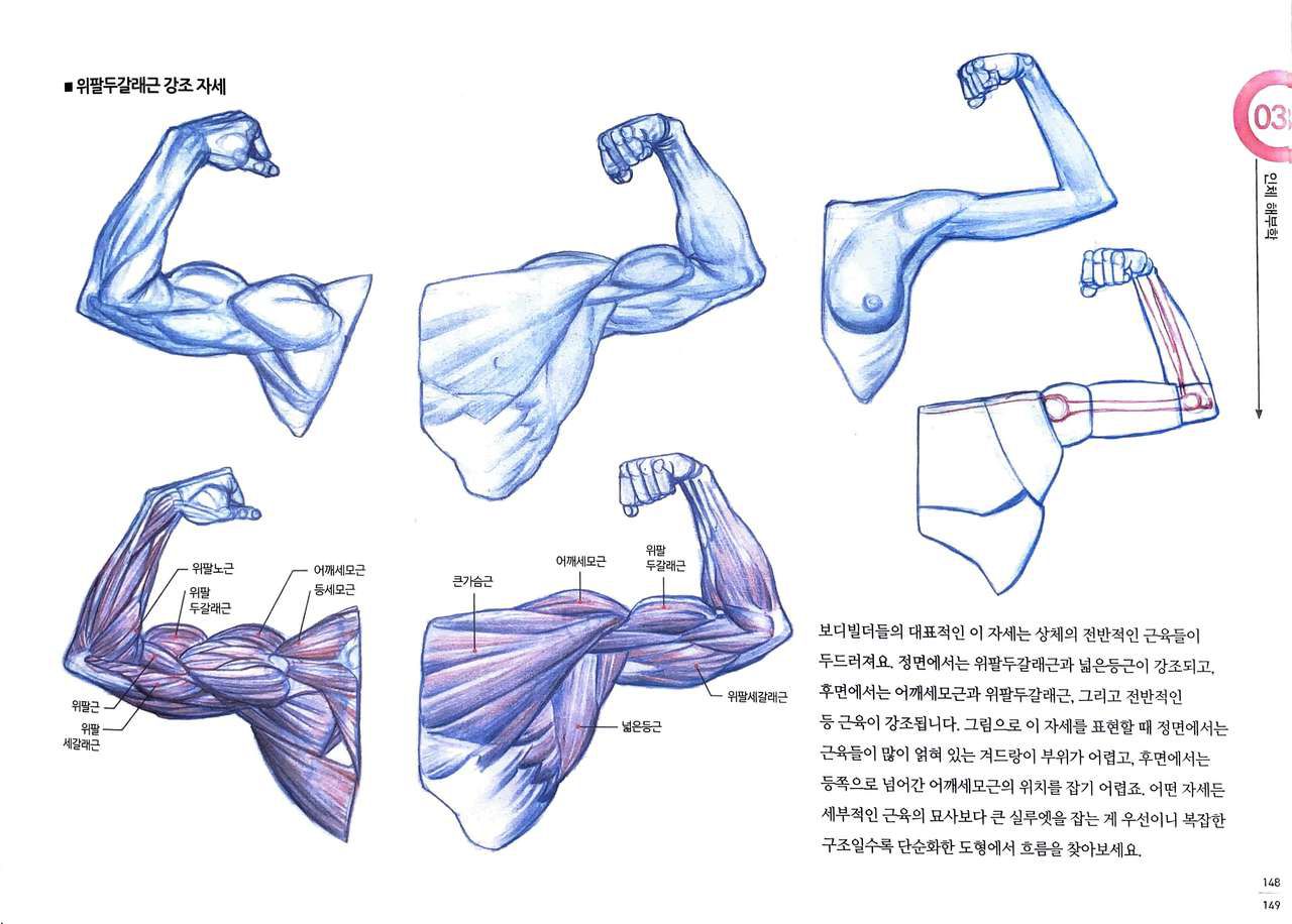 RockHe Kim's Anatomy Drawing Class 143