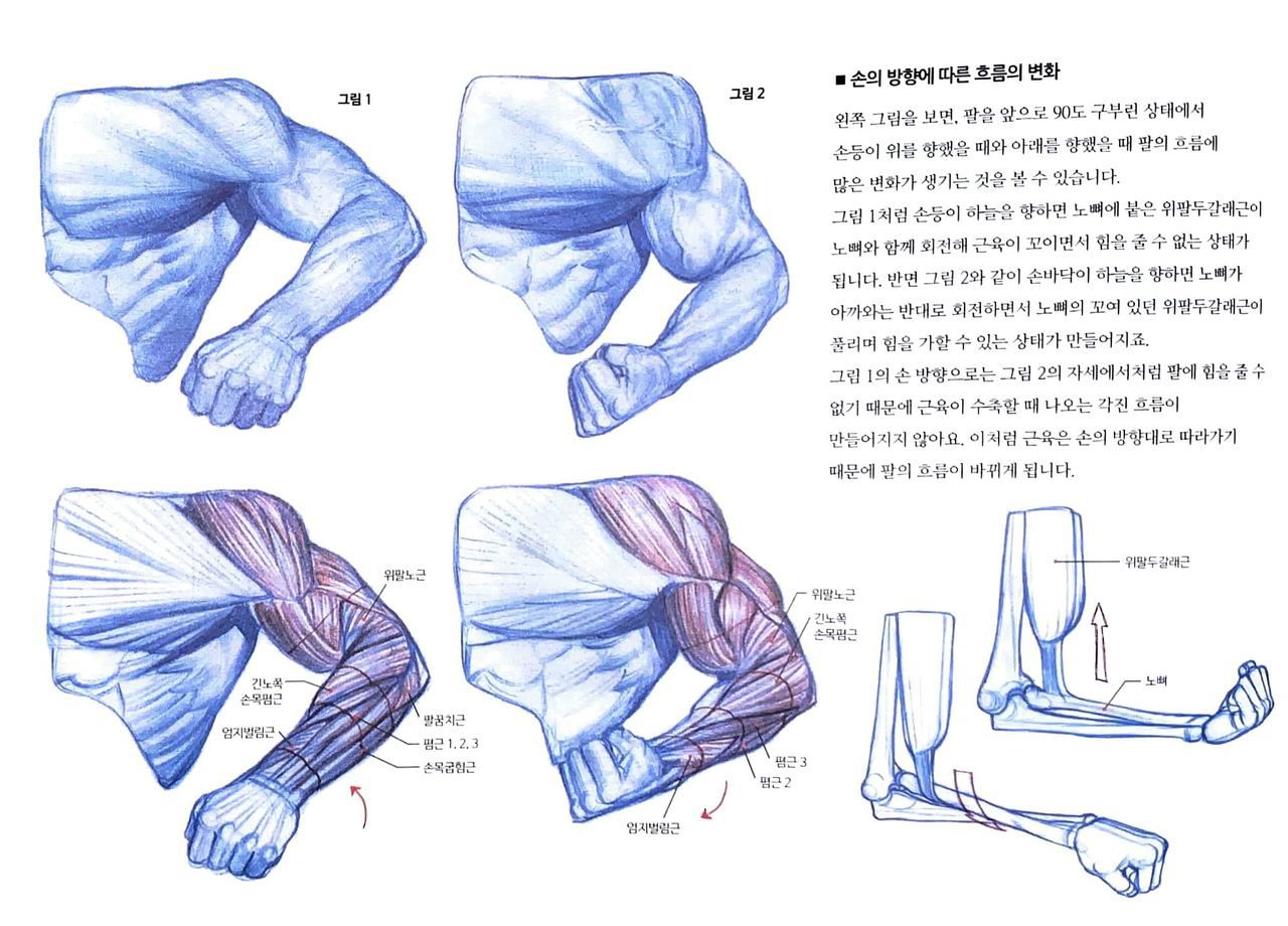 RockHe Kim's Anatomy Drawing Class 144