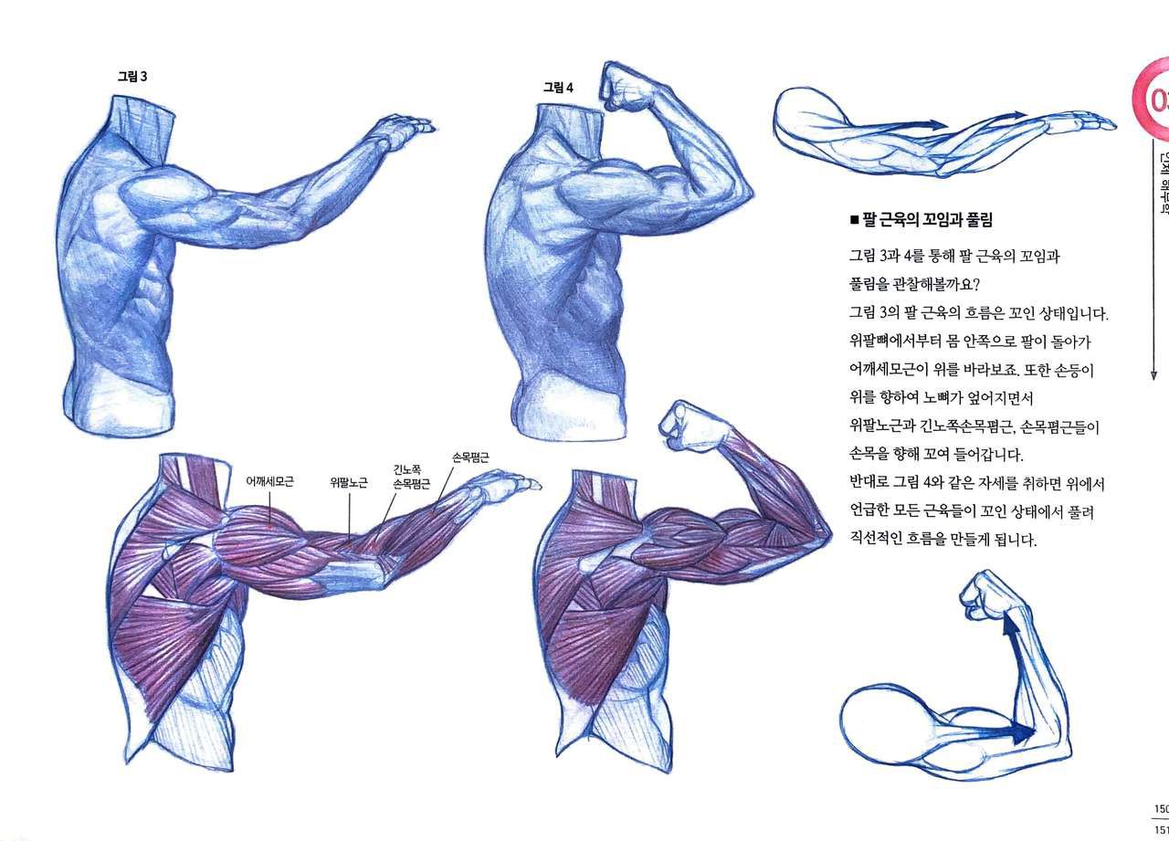 RockHe Kim's Anatomy Drawing Class 145