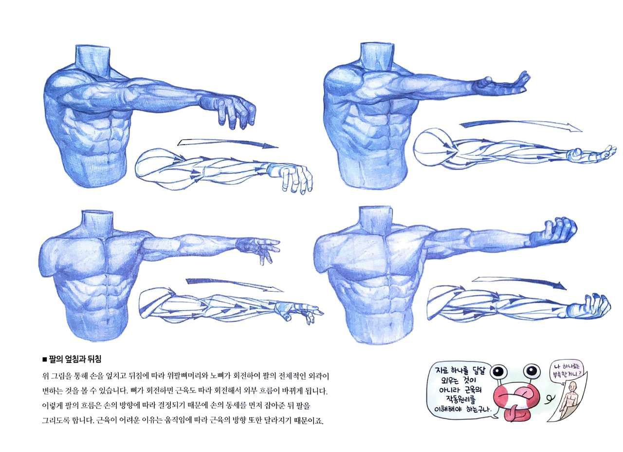 RockHe Kim's Anatomy Drawing Class 148