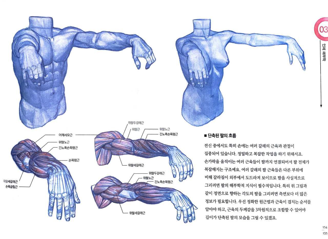 RockHe Kim's Anatomy Drawing Class 149