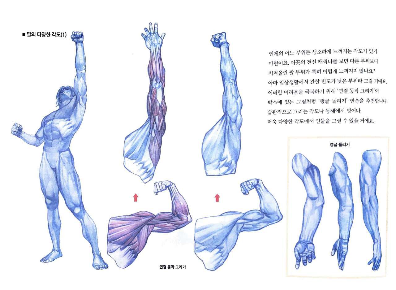 RockHe Kim's Anatomy Drawing Class 150