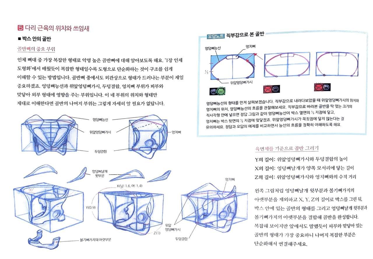 RockHe Kim's Anatomy Drawing Class 152