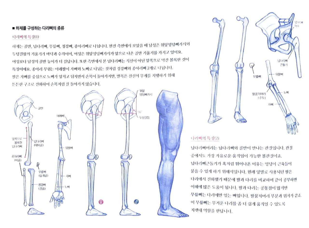 RockHe Kim's Anatomy Drawing Class 154