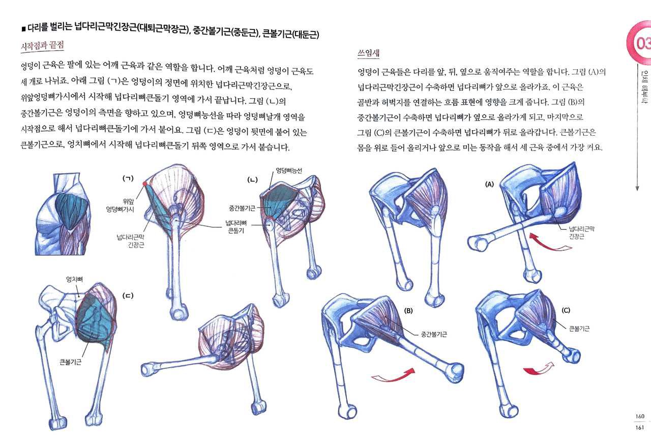 RockHe Kim's Anatomy Drawing Class 155