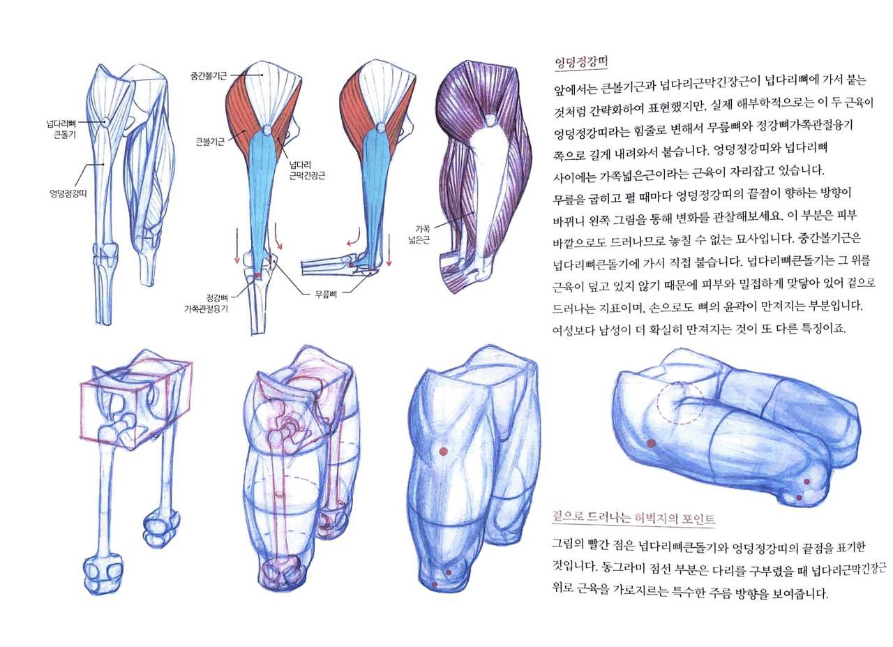 RockHe Kim's Anatomy Drawing Class 156