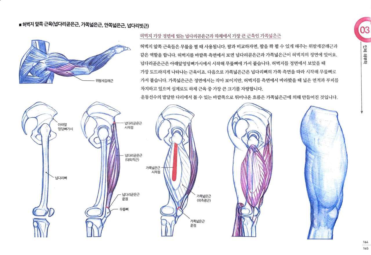 RockHe Kim's Anatomy Drawing Class 159