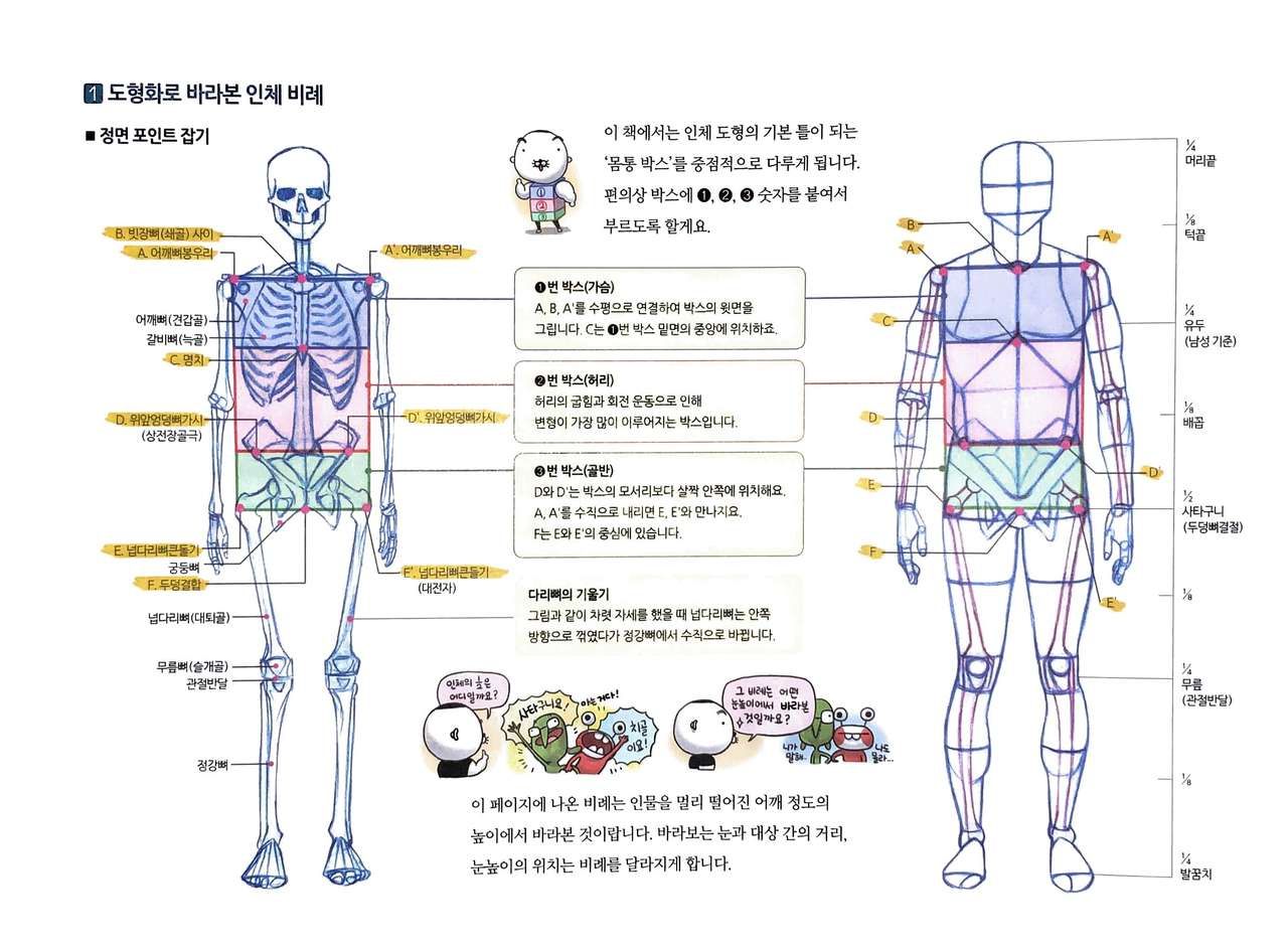 RockHe Kim's Anatomy Drawing Class 16