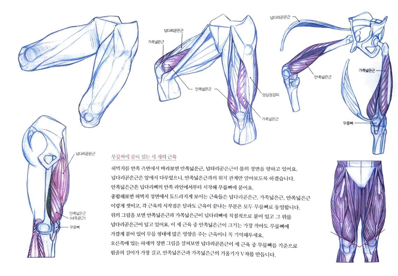 RockHe Kim's Anatomy Drawing Class 160