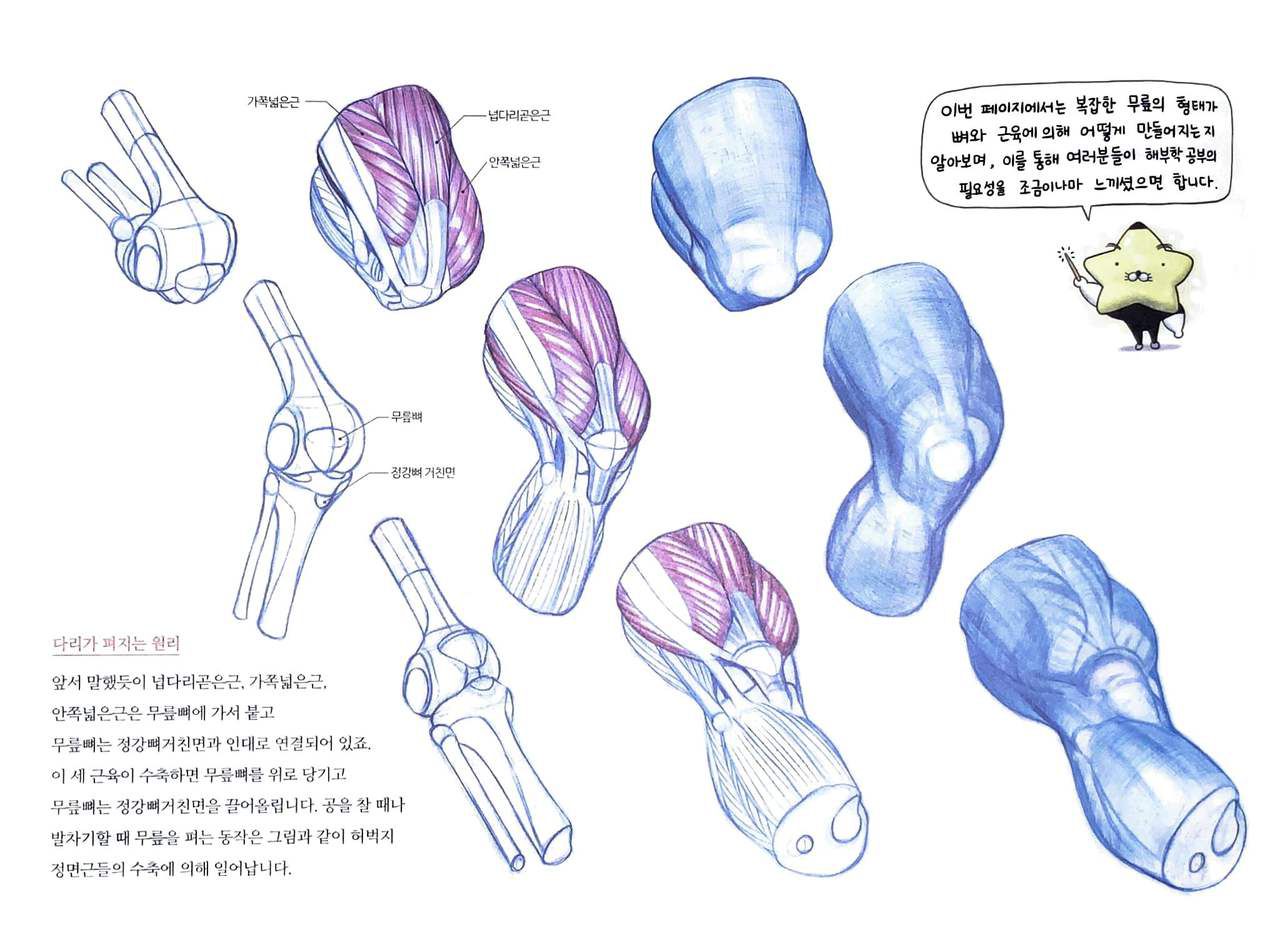 RockHe Kim's Anatomy Drawing Class 162