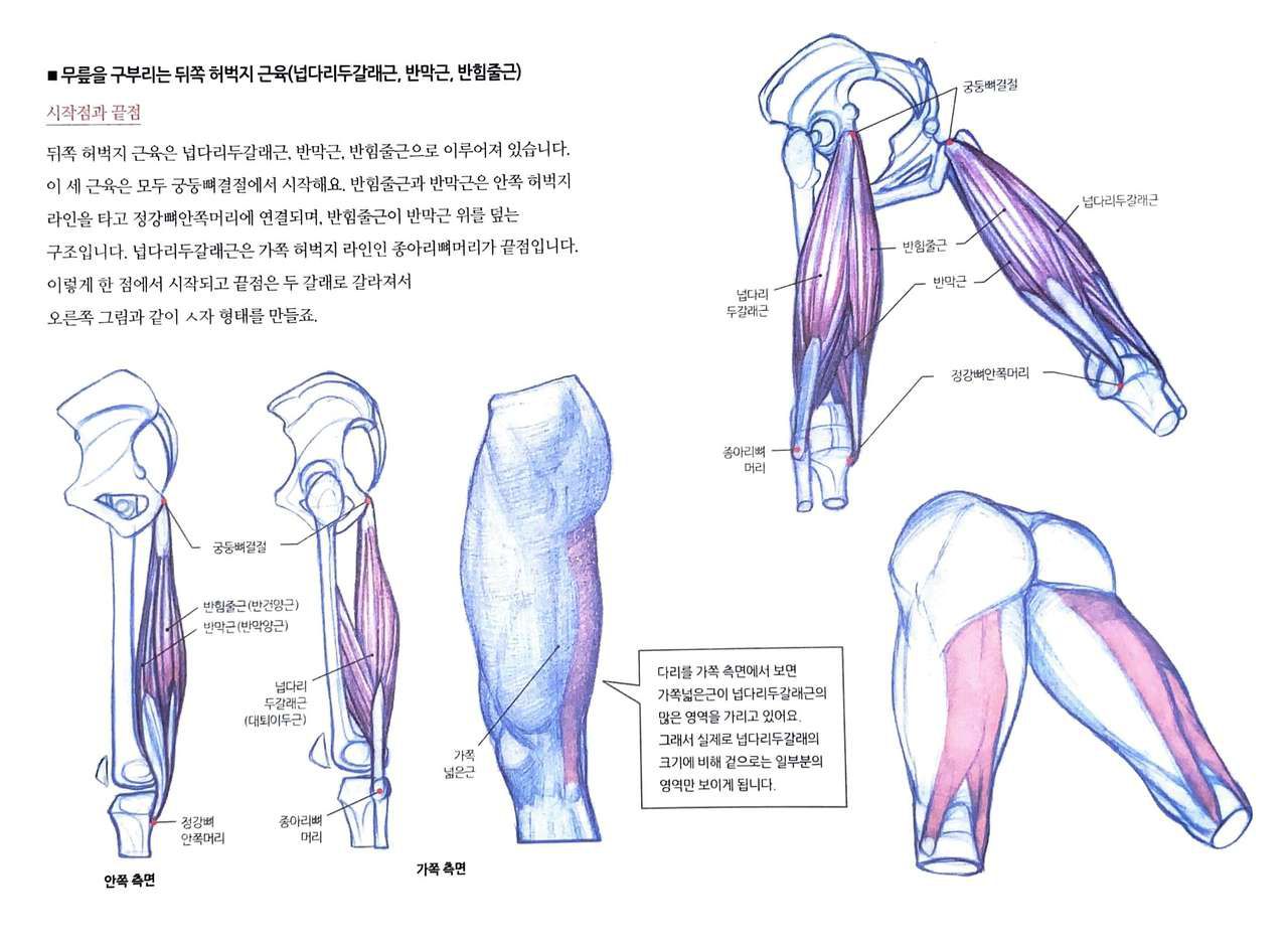 RockHe Kim's Anatomy Drawing Class 166