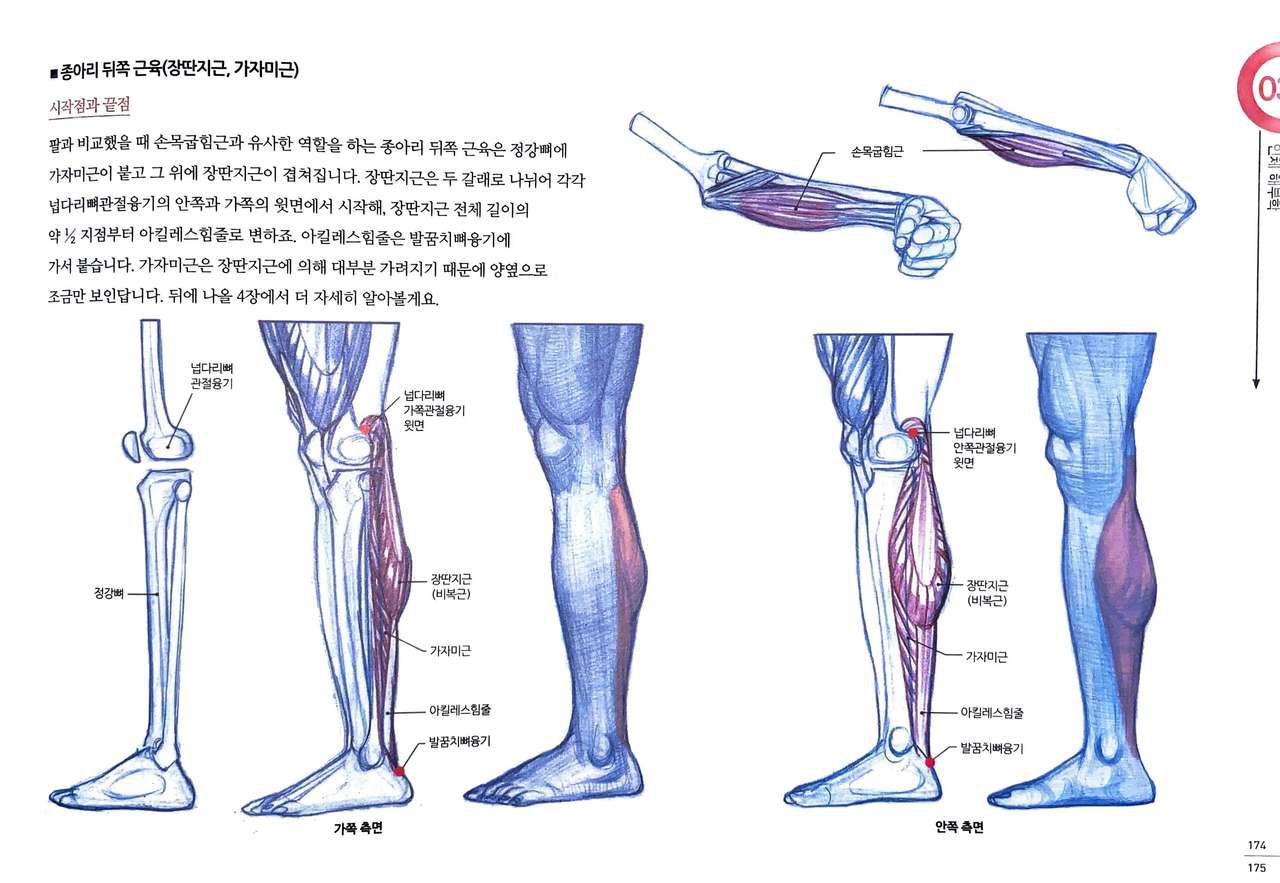 RockHe Kim's Anatomy Drawing Class 169