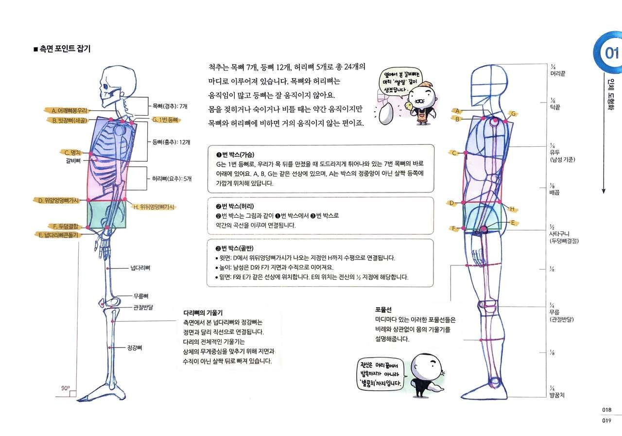 RockHe Kim's Anatomy Drawing Class 17