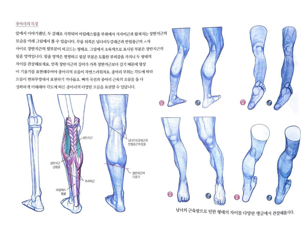 RockHe Kim's Anatomy Drawing Class 170