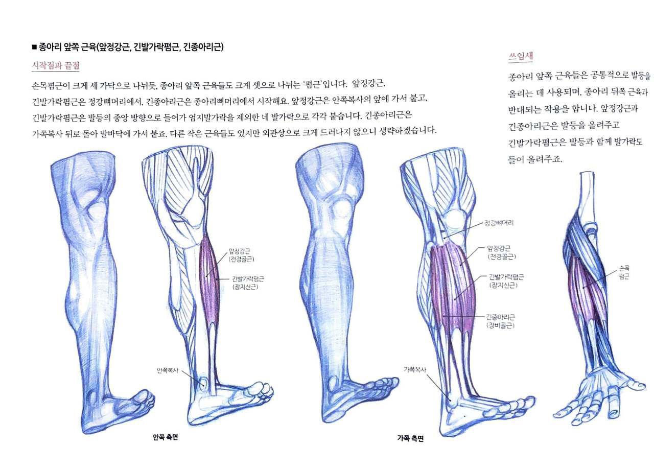 RockHe Kim's Anatomy Drawing Class 172