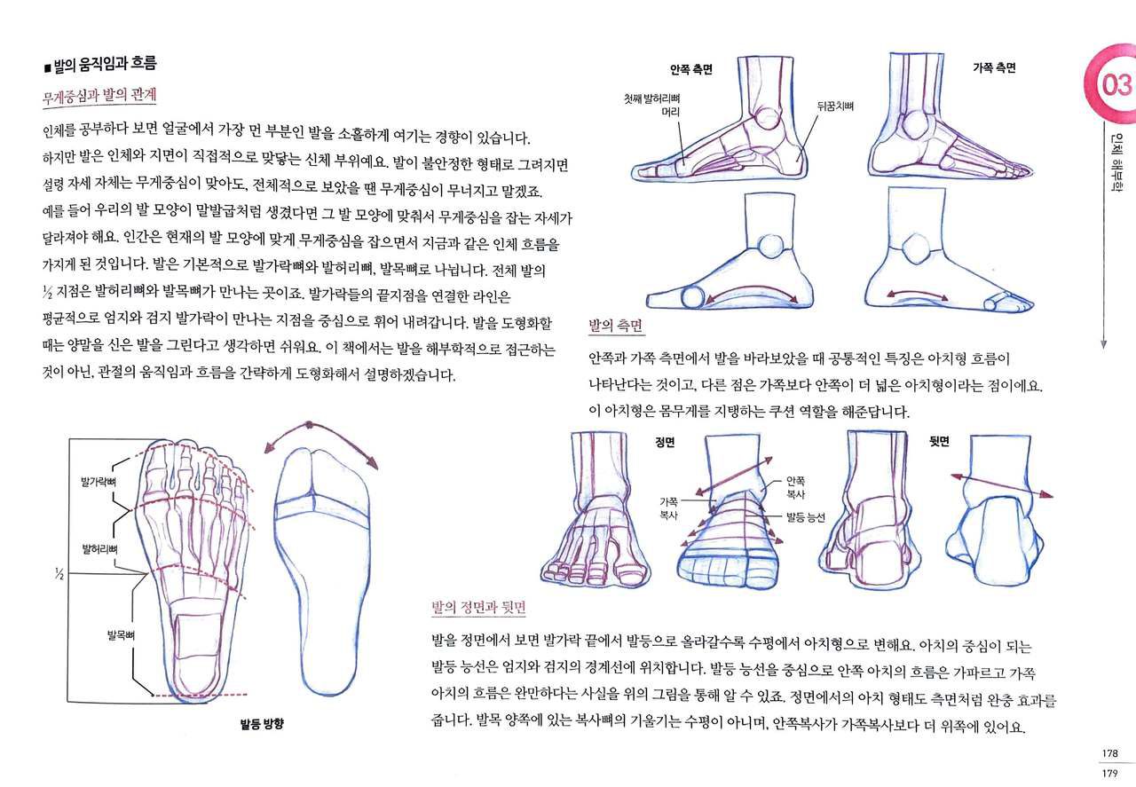 RockHe Kim's Anatomy Drawing Class 173